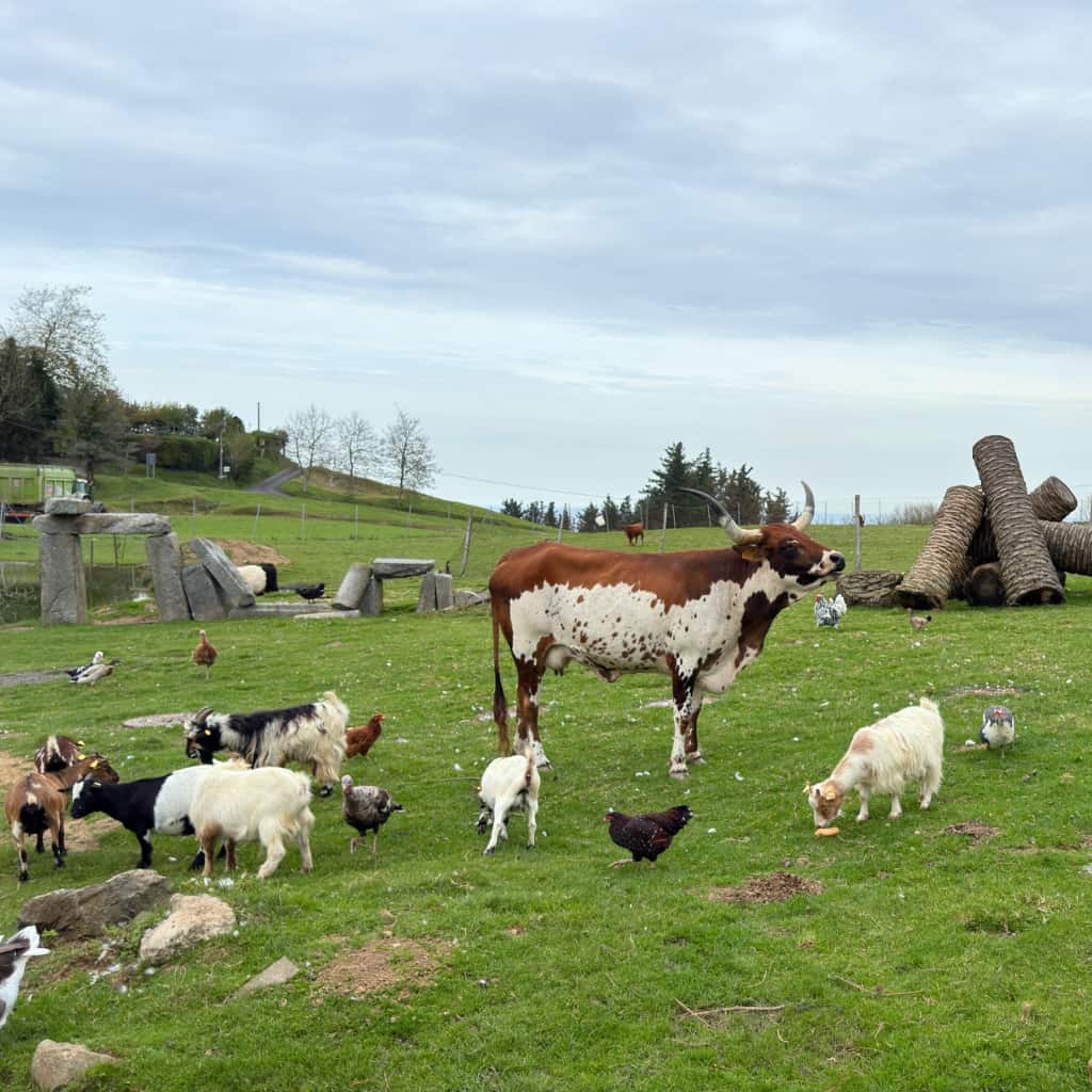 Indate Berriko animaliak